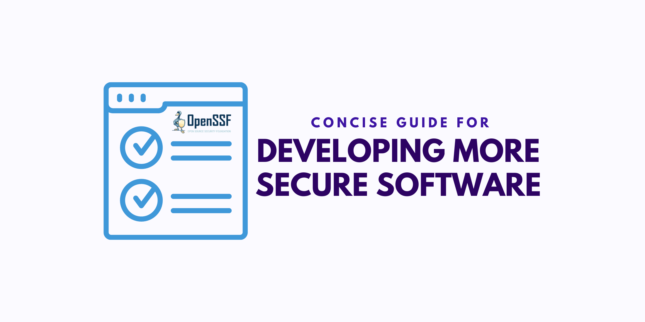 Concise Guide Developing Secure Software