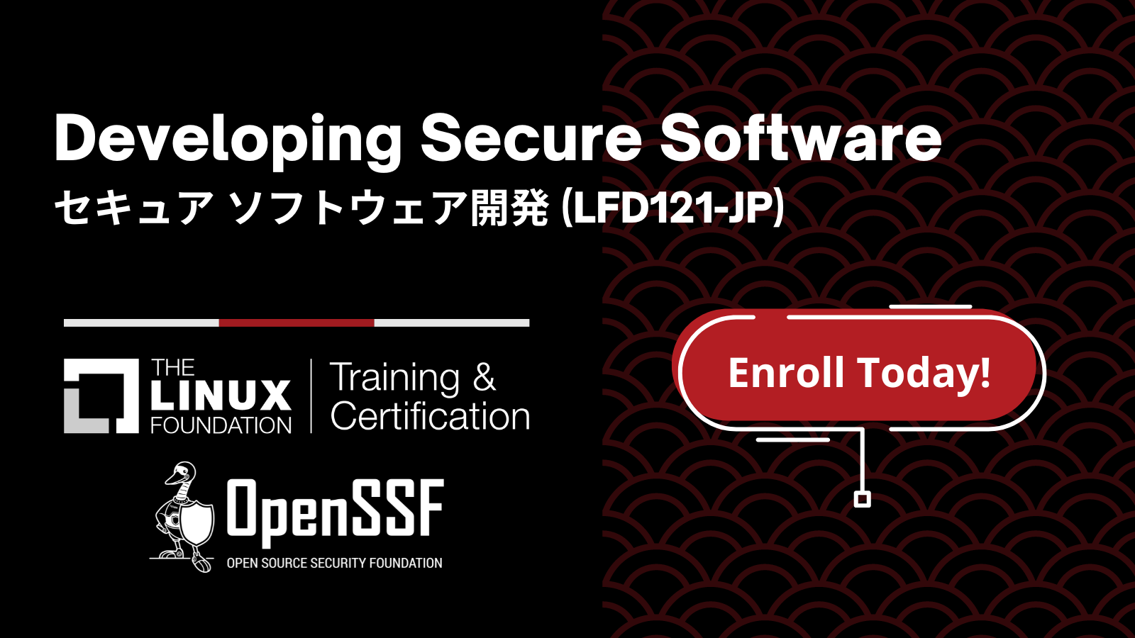 Developing Secure Software Training Course Japanese Enroll Today